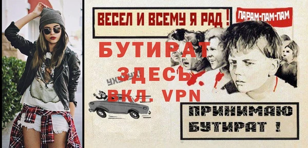 индика Калининец