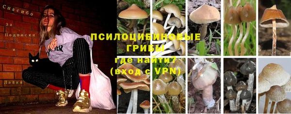 2c-b Иннополис