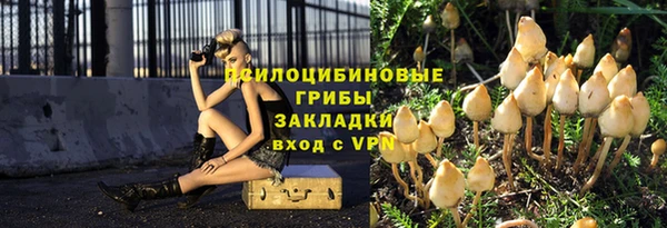 ешки Инсар