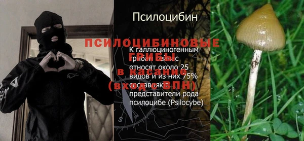 ешки Инсар