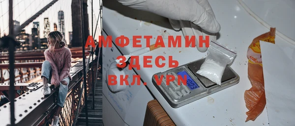 индика Калининец