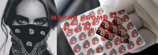 мет Инта